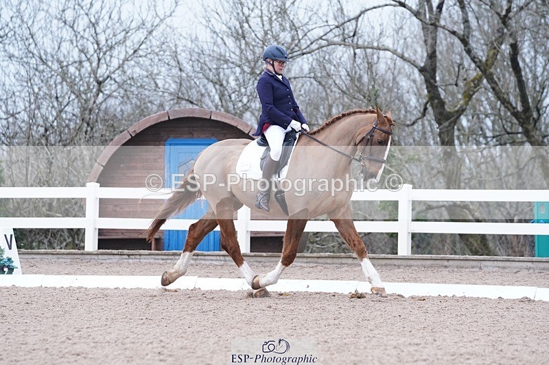 250214-102238-00122 - 224-Jill.McFarland-Adoon.Punchbowl