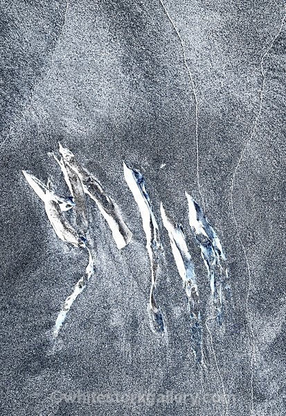 Night Geese - The Sand Gallery