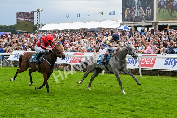 270724-Race 4-Greydreambeliever-7261 - Race 4 4.00pm Sky Bet Club EBF Fillies' Novice Stakes