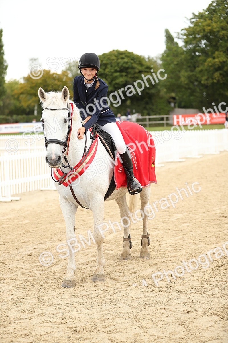 SBM_63160 - Supreme championship 75cm 80cm