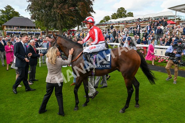 230824-Race 4-Bradsell-9100 - Race 4 3.35pm Coolmore Wootton Bassett Nunthorpe Stakes
