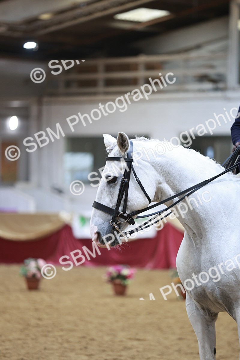 SBM_09062 - Class 12R - Regional Ridden Pre-Vet