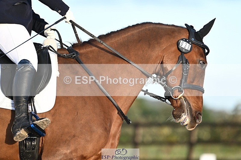 231105-154011-03857 - Cls 5 Novice 27 15.35 to 16.54 break