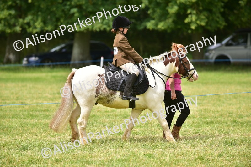 20260614-4184 - Class 17 - Best Mane and Tail
