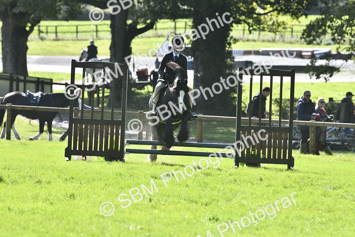 SBM_38163 - S31 - Novice & Newcomer Working Hunter Pony