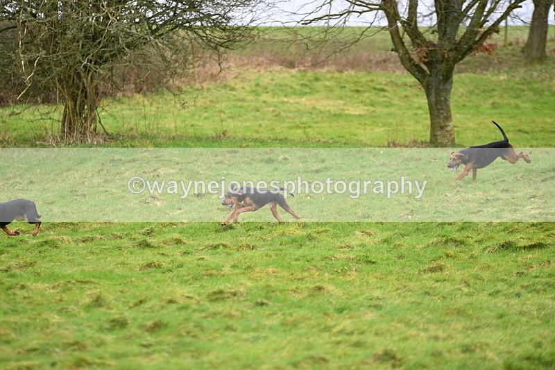 WJ5_4314 - Cam A