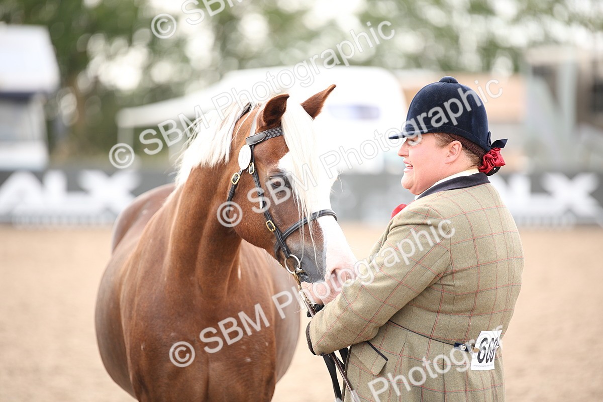 SBM_08261 - Class 27 - IH Competition Horse-Pony