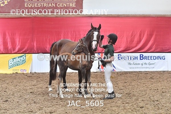 JAC_5605 - 13 Zi Real McCoy