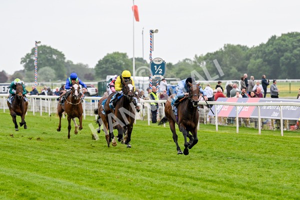 150525-Merchant-5300 - Race 7 5.25pm Haxby Handicap