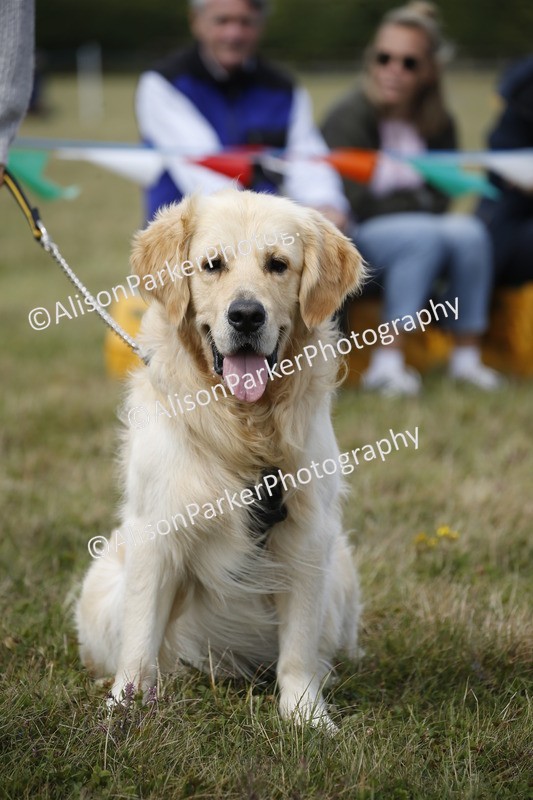 20250831-3643 - Dog Show