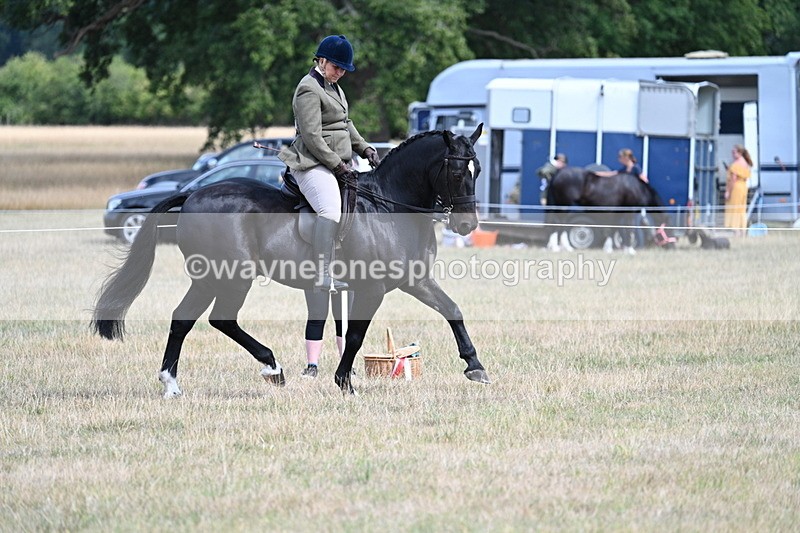 WJ7_6137 - Class 13 Ridden Veterans