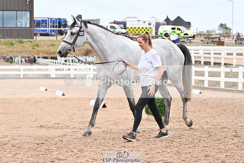 250716-160722-02423 - Trot Up 3.30 to 4.30