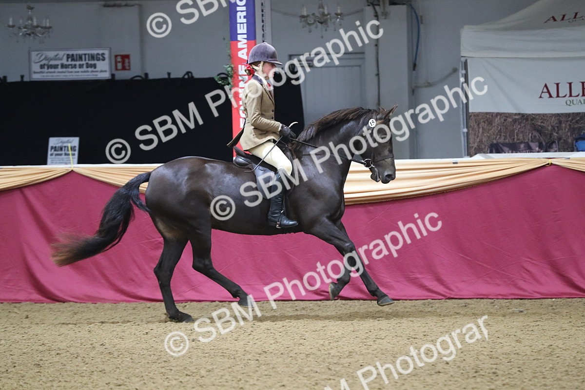 SBM_09322 - Class 101 Equitation (best rider), Junior