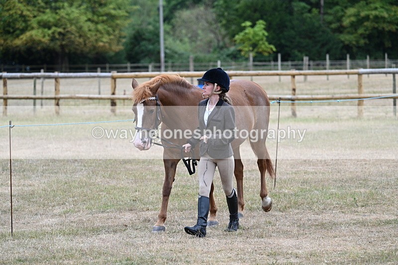 WJ7_8001 - Class 4 Prettiest Mare up to 14.2hh