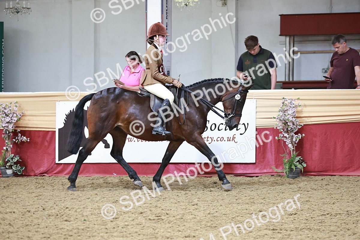 SBM_08639 - Regional Ridden Champ