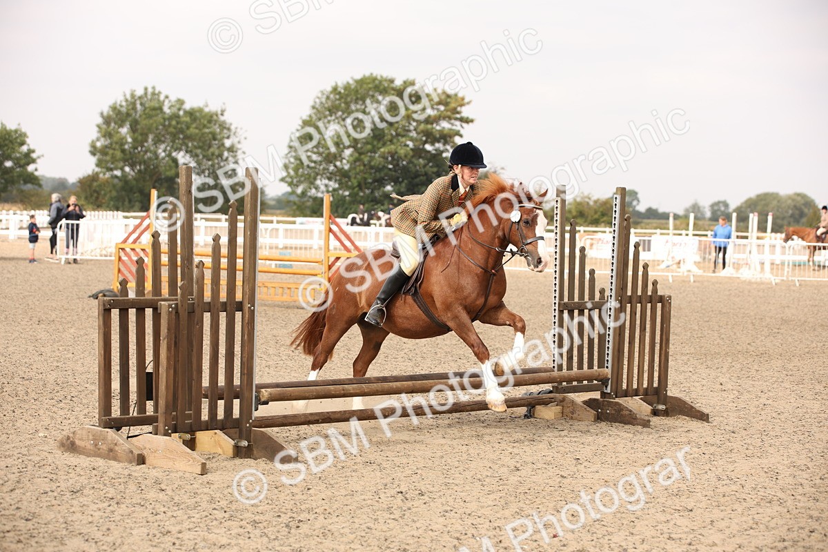 SBM_12268 - Class 405a - M&M Working Veteran 50cm (15-19)