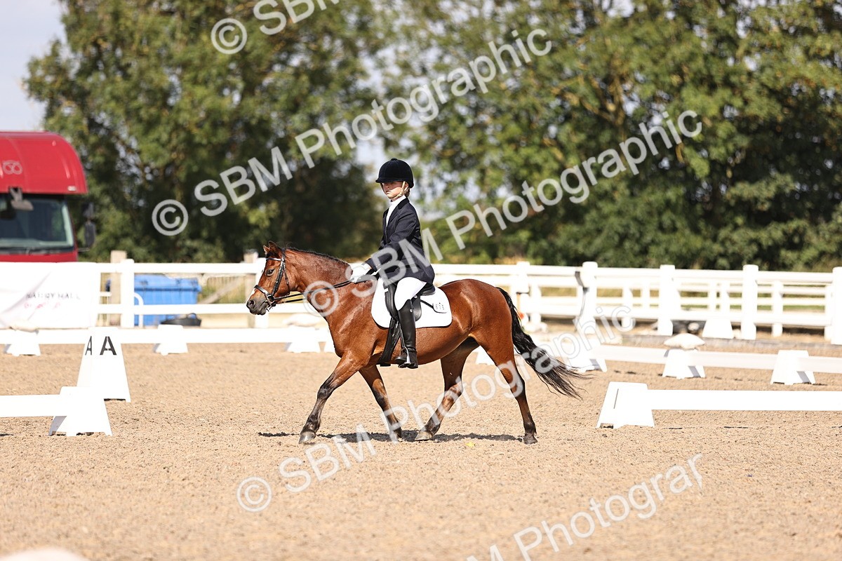 SBM_03514 - CLass 35 Intro 3