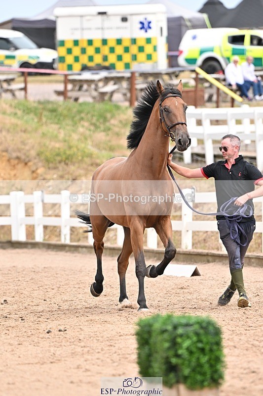 250716-153442-02024 - Trot Up 3.30 to 4.30