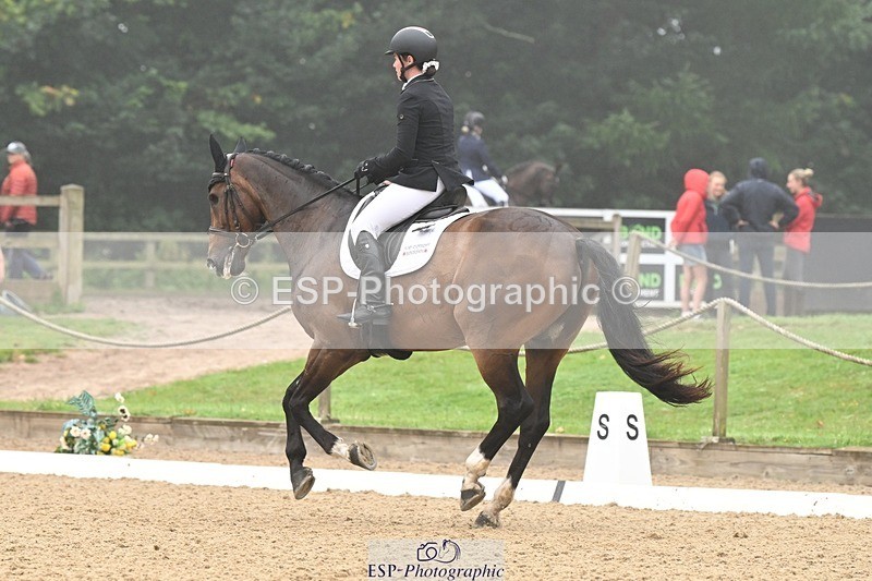 240811-094141-04844 - 119-Alice.Kneen-Dazzling.Springtime