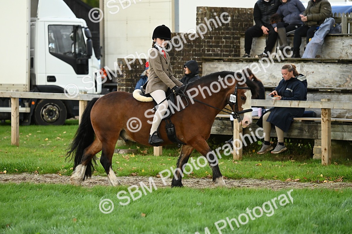 SBM_26565 - S7 - Novice & Newcomer Ridden Pony
