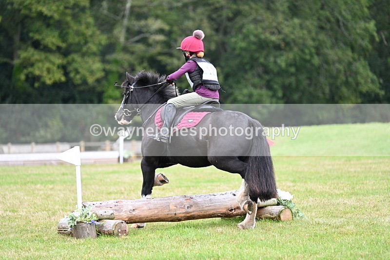 WJ7_7318 - 40cm Time 10:06 to 10:24