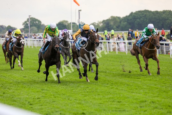 150524-Race 6-Shadow Army-1577 - Race 6 4.45pm British Stallion Studs EBF Novice Stakes