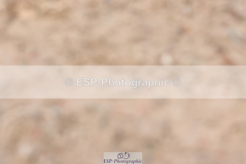 240706A-123308-01921 - Cls 2C Snr Prelim 14