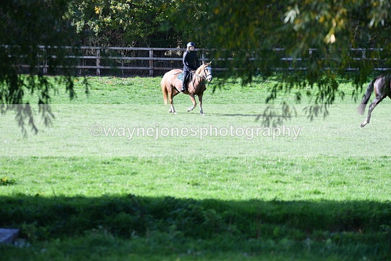 WJ5_7680 - Time 10:31 to 12:01