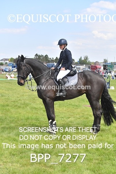 BPP_7277 - CLASS 3 Andrew Hamilton Coach, RHS Foxhunter Championship Qualifier