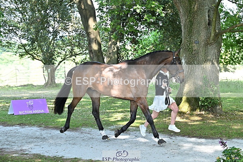 250521A-160043-00861 - C-279-Kitty.King-DASSETT.FLIGHT.PATH