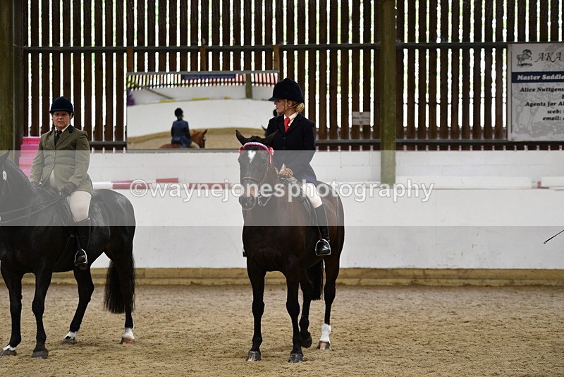 WJ5_8045 - Class 13 Ridden Part Breed