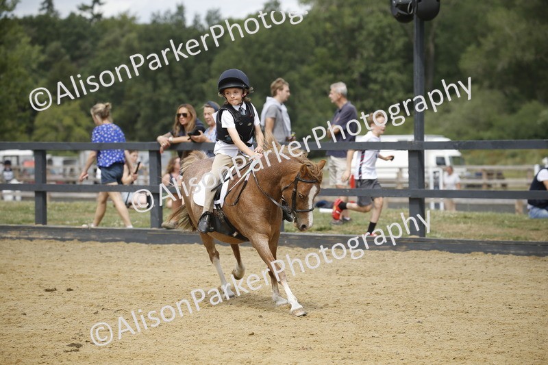 20250622-4615 - 50cm