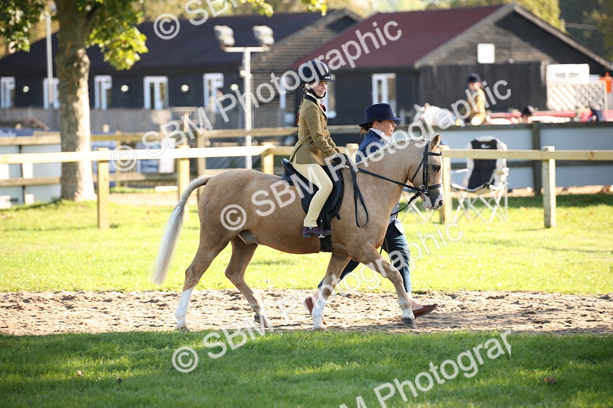 SBM_35665 - S9 - Lead Rein Equitation