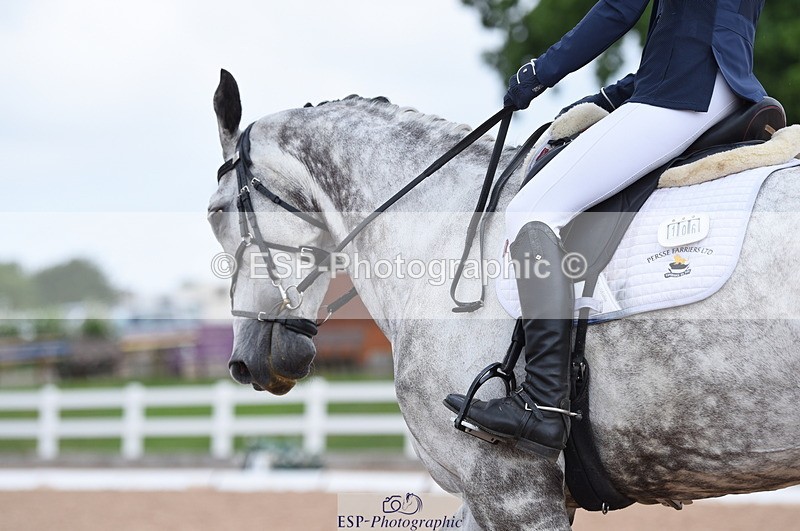 230701A-130930-05885 - Cls 7b Medium 71