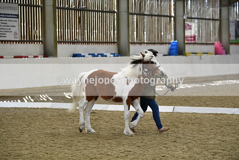 WJ5_4950 - Class 7 In hand coloured / odd coloured