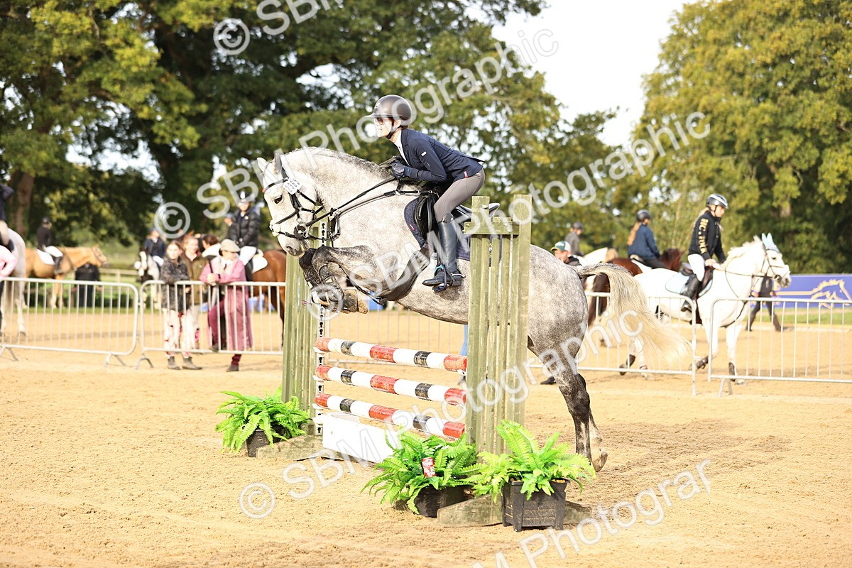 SBM_55281 - J62 - Clear Round 90cm