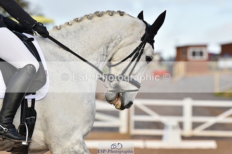 231104A-140910-02046 - Cls 10 Medium 61