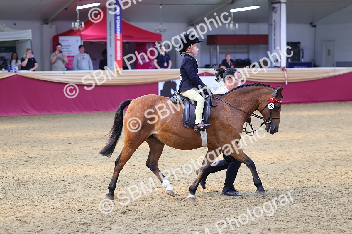 SBM_24000 - Class 905 - Supreme Final - Ridden Veteran