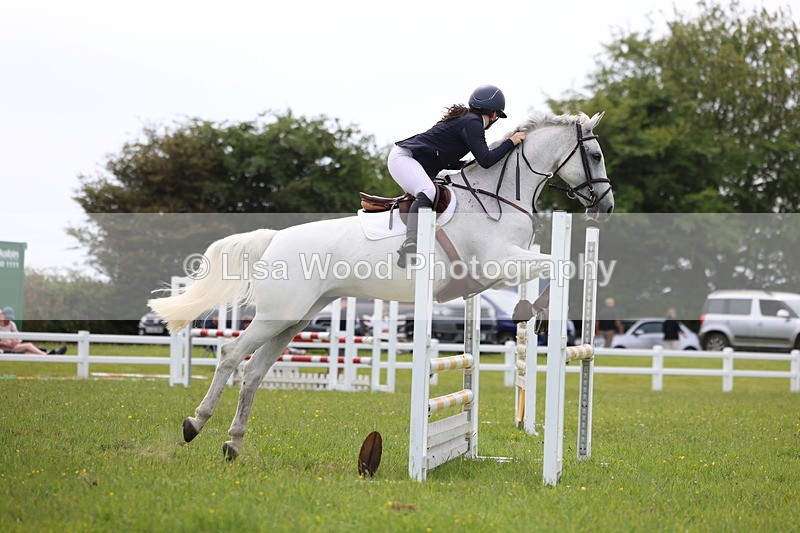 3E7A1821 - Class 13: Senior British Novice/90cm open