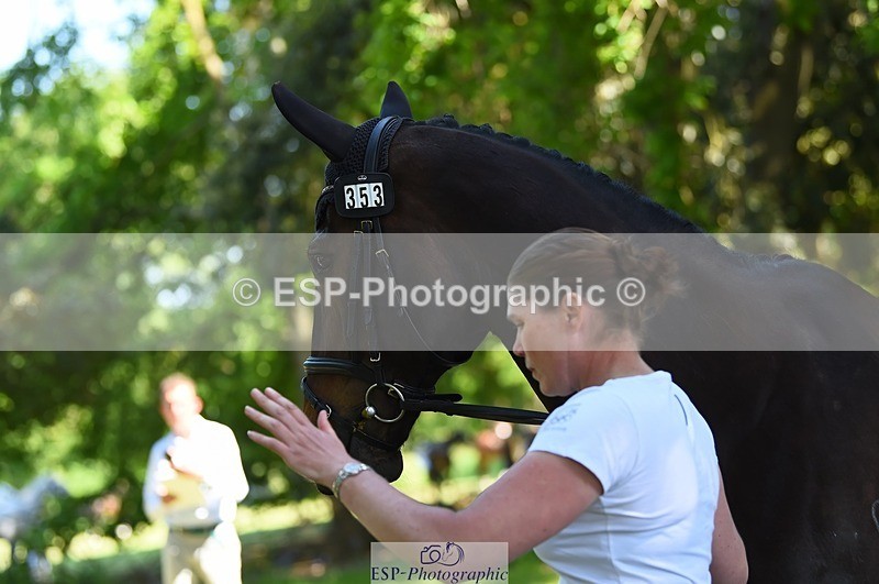 230524-153142-00333 - 353-THE_RIPPER-Bundy_Philpott-WEDTrotUp+DR