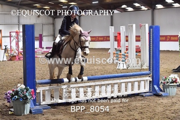 BPP_8054 - CLASS 1  Club/ Unaffiliated 60cms Open