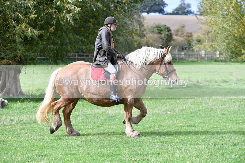 WJ5_9345 - Time 13:03 to 13:25