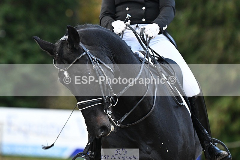 231110-153829-02263 - Cls 11 FEI PSG