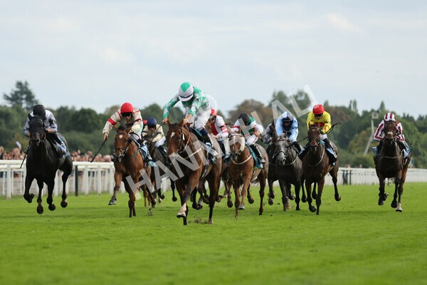 yr04092022r6-28 - Race 6 4.40pm Hanson Springs Stakes
