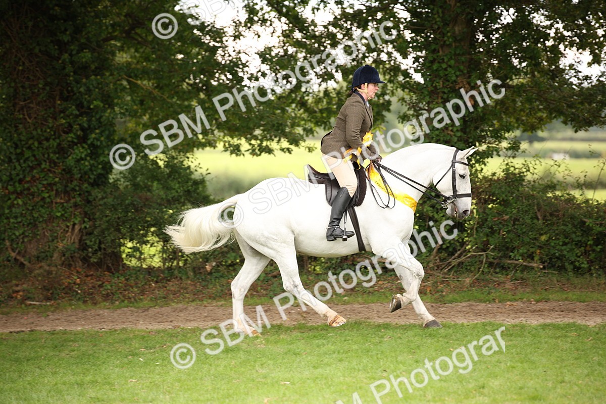 SBM_72407 - S67 - Show Cob Ridden