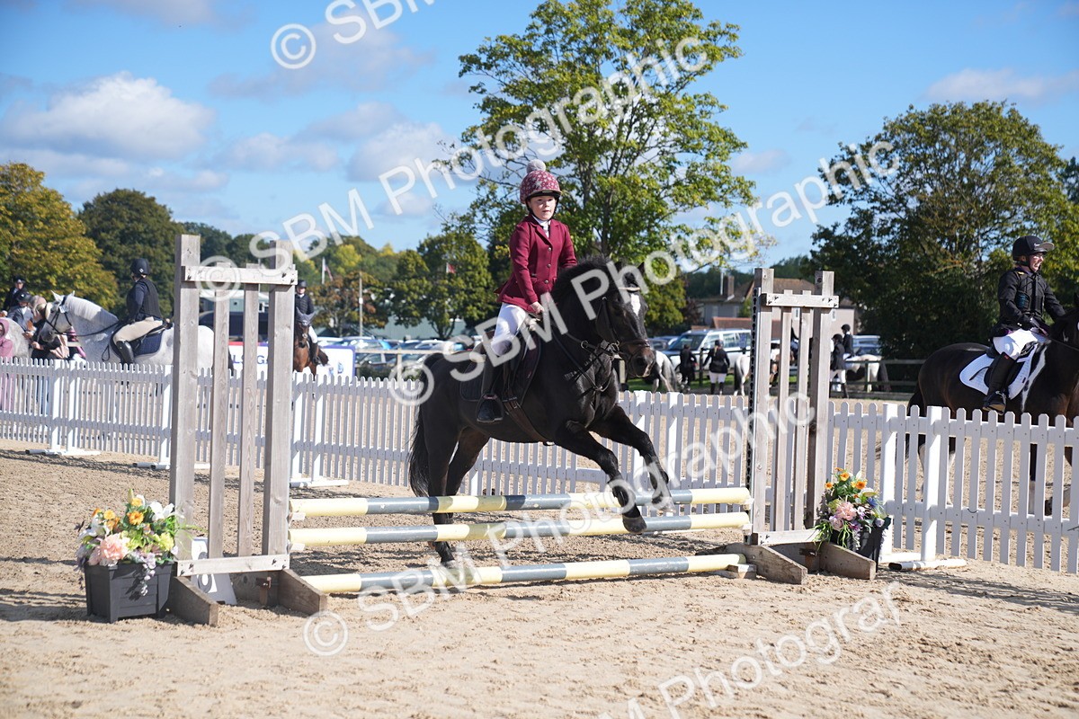 SBM_02443 - J54 Clear Round 45cm