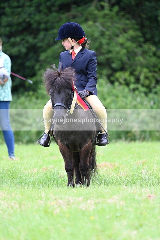 WJ7_4253 - Class 14A Handsome Gelding