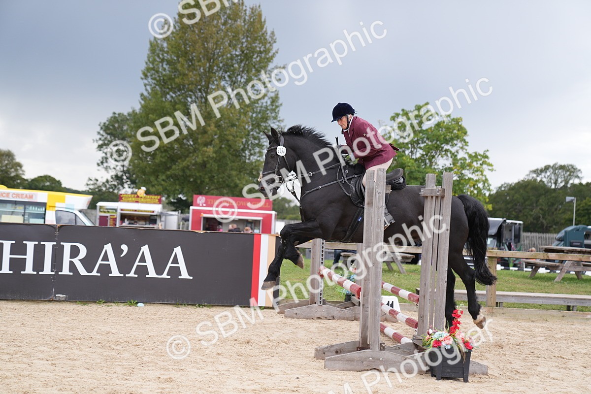 SBM_09233 - J36 Veteran 70cm Championship