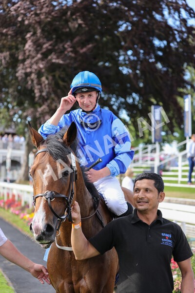 yr08072022r7-28 - Race 7 5.30pm Jigsaw Sports Branding Handicap