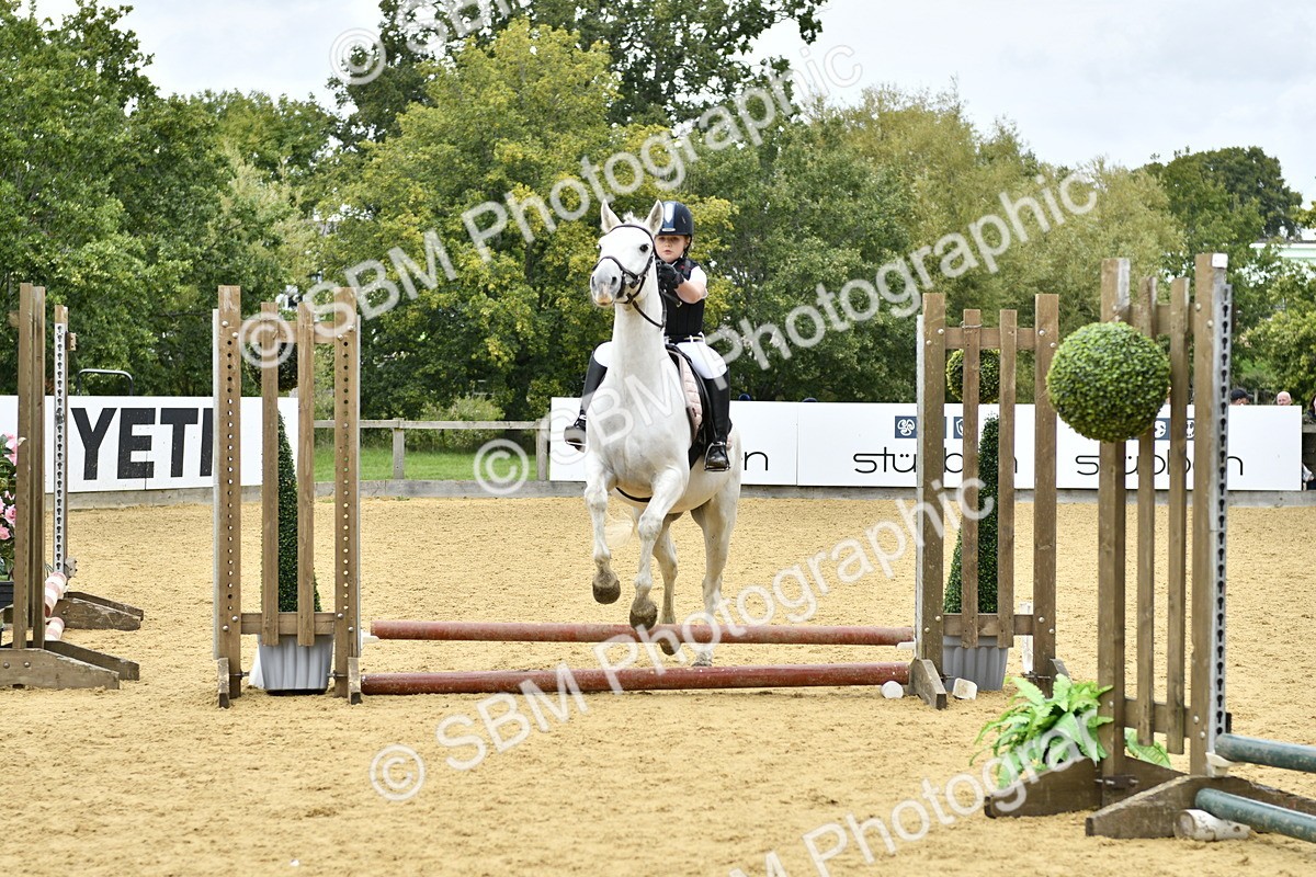 SBM_65423 - J2a mini Tour Junior Pony 30cm Championship